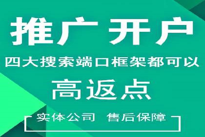 关键词竞价排名实战案例精选解析